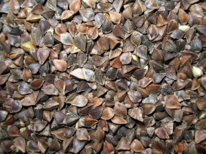 Дикуль